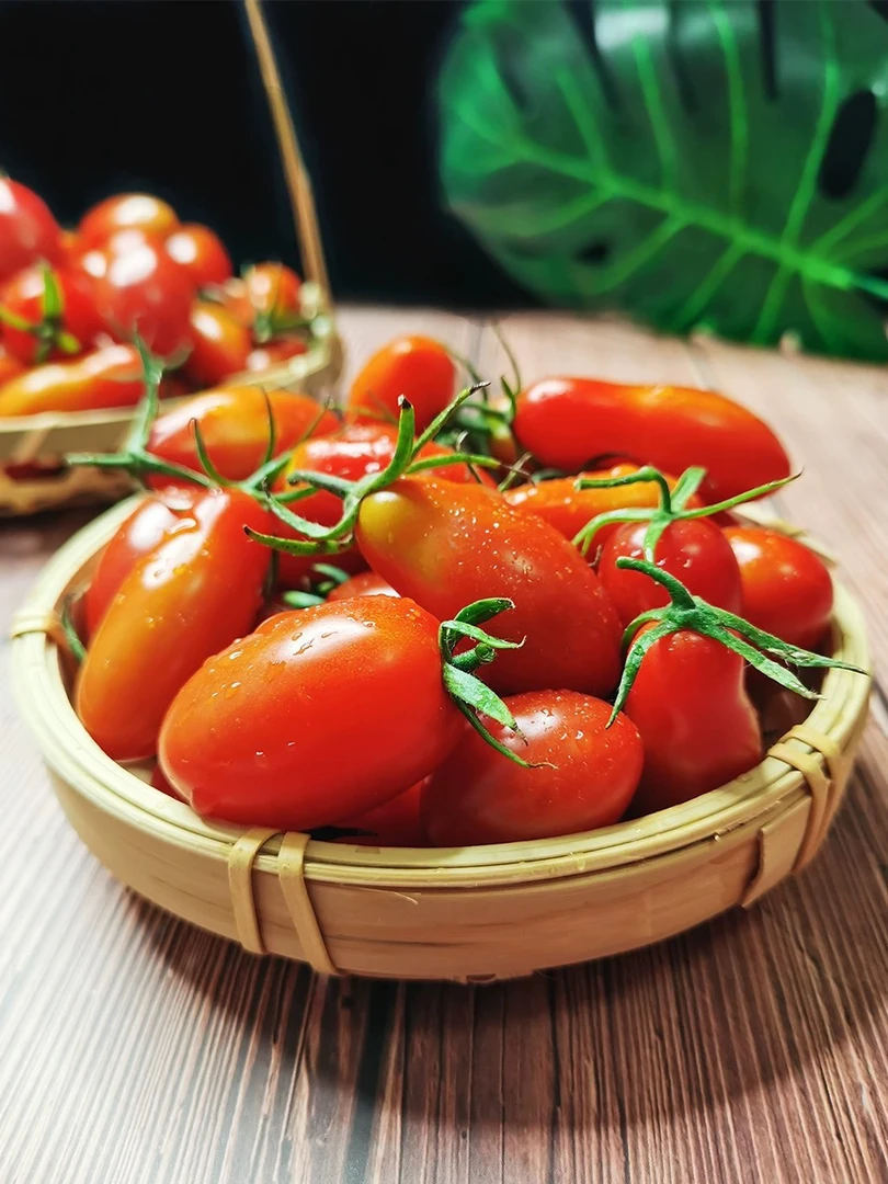 老牛专属 丹东409小柿子 1件2斤 拆包快递包邮