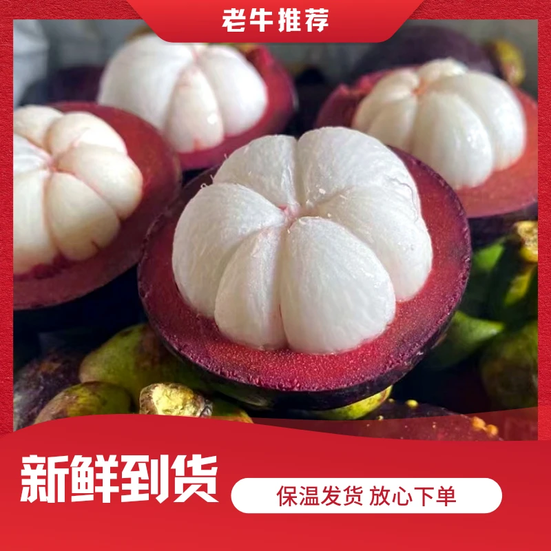 【老牛专属】新鲜山竹一箱3/5斤快递包邮（可能有蚂蚁，介意勿拍）