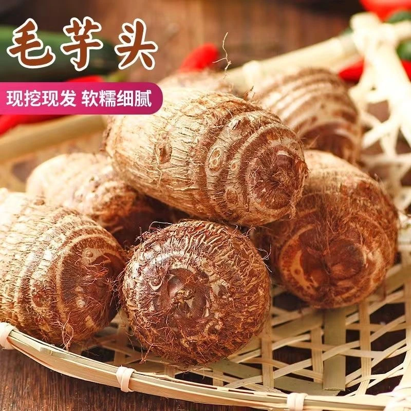 正宗山东新鲜牛奶芋头鲜芋头粉糯香芋精选毛芋头皮薄牛奶小芋头