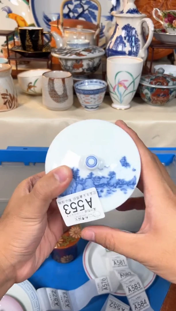 【闪购商品】瓷片尚岸雅瓷海外回流a553