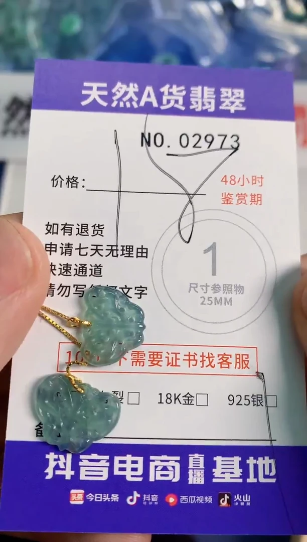 【闪购商品】翡翠颈饰银S925镶嵌1