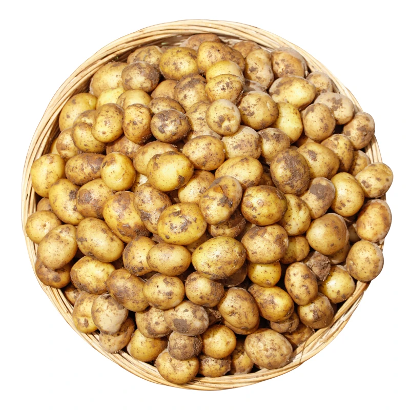 湖北恩施小土豆约400-450g/份