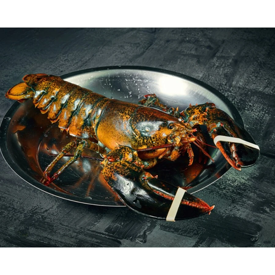 鲜活波龙1只-默认处理对半开