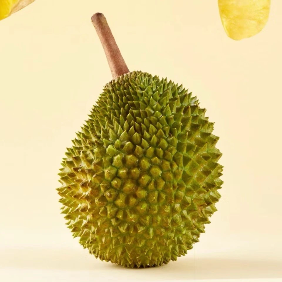 【微瑕无售后】金枕榴莲肉1斤榴莲