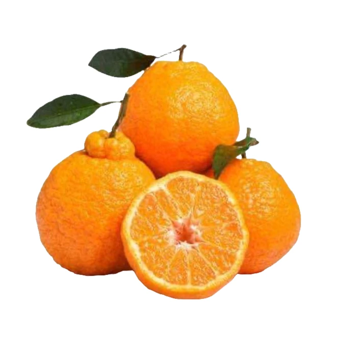 耙耙柑25元/kg