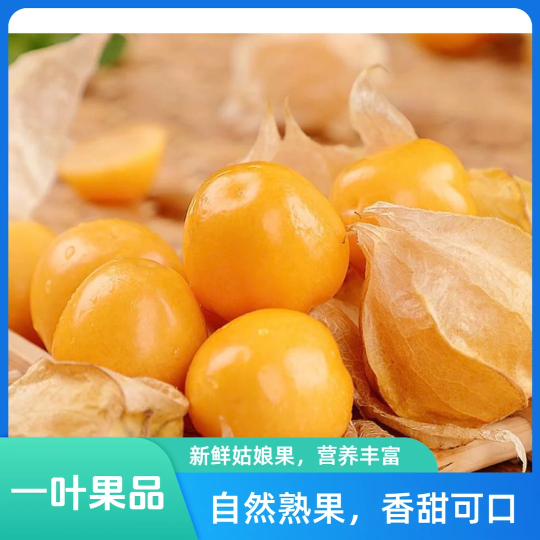 新鲜姑娘果35元/盒
