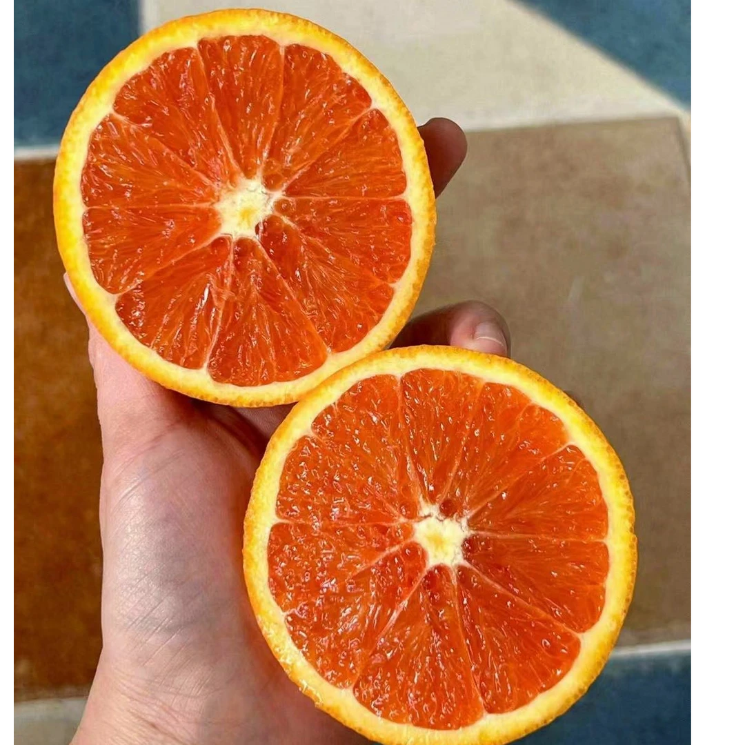 血橙32元/kg