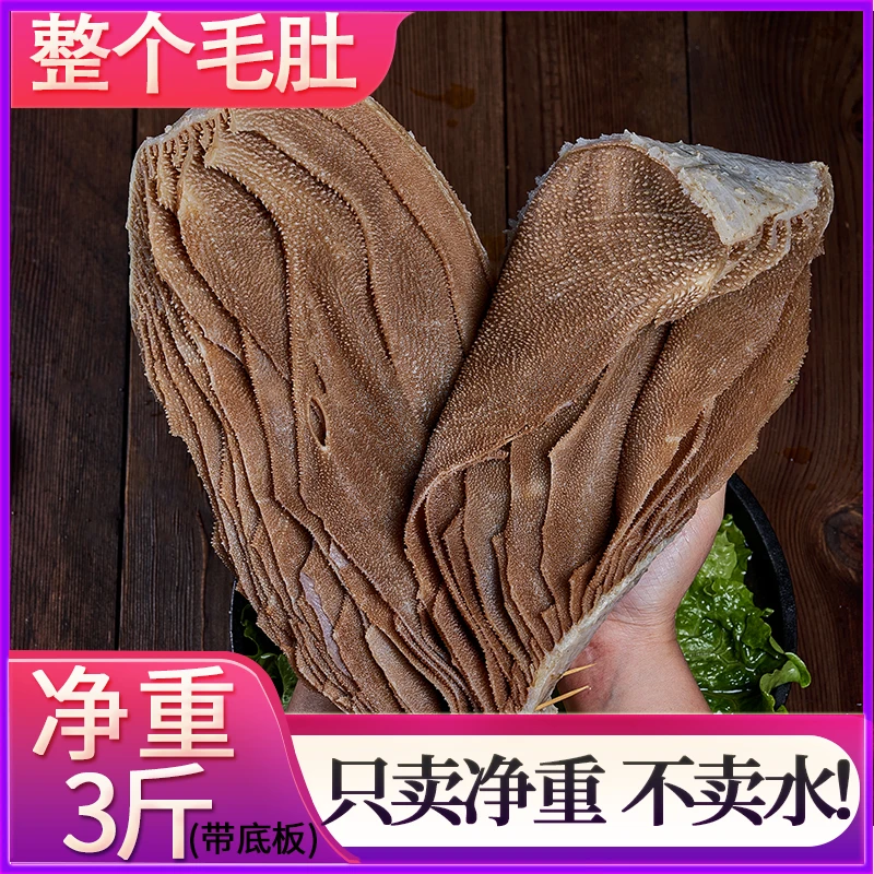 毛肚新鲜批发3斤净重整个牛肚带底板叶片千层肚百叶毛肚火锅商用