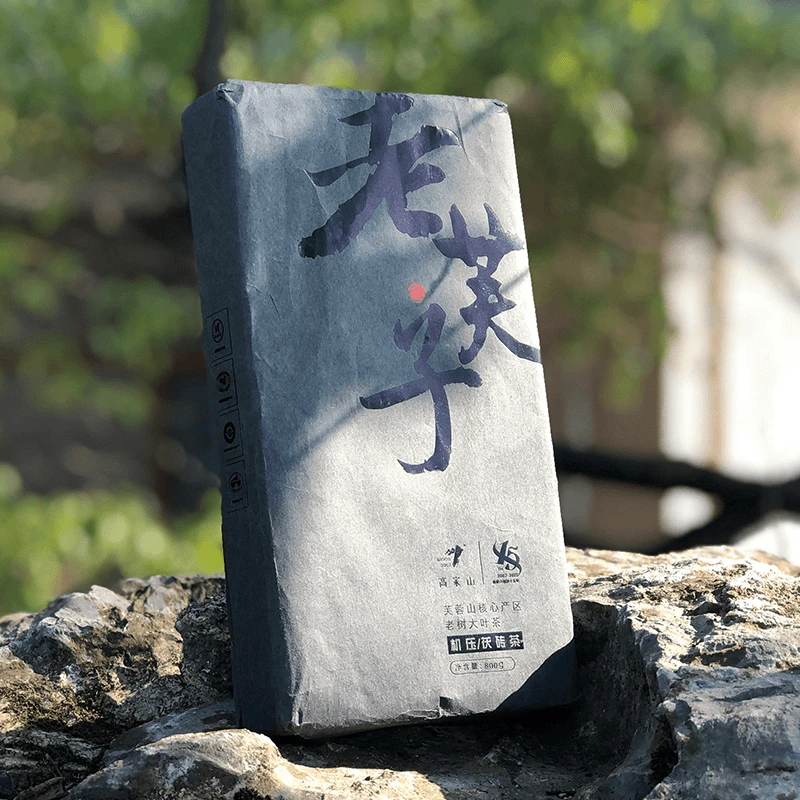 高家山安化黑茶野荒黑茶正宗芙蓉山茯砖老芙子800g