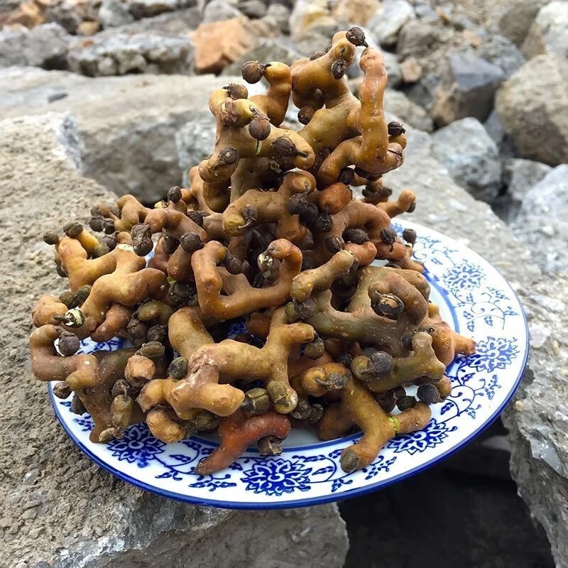 陕西新鲜拐枣金钩梨鸡爪里万寿果1/2/3/4/5斤小众水果泡酒原料