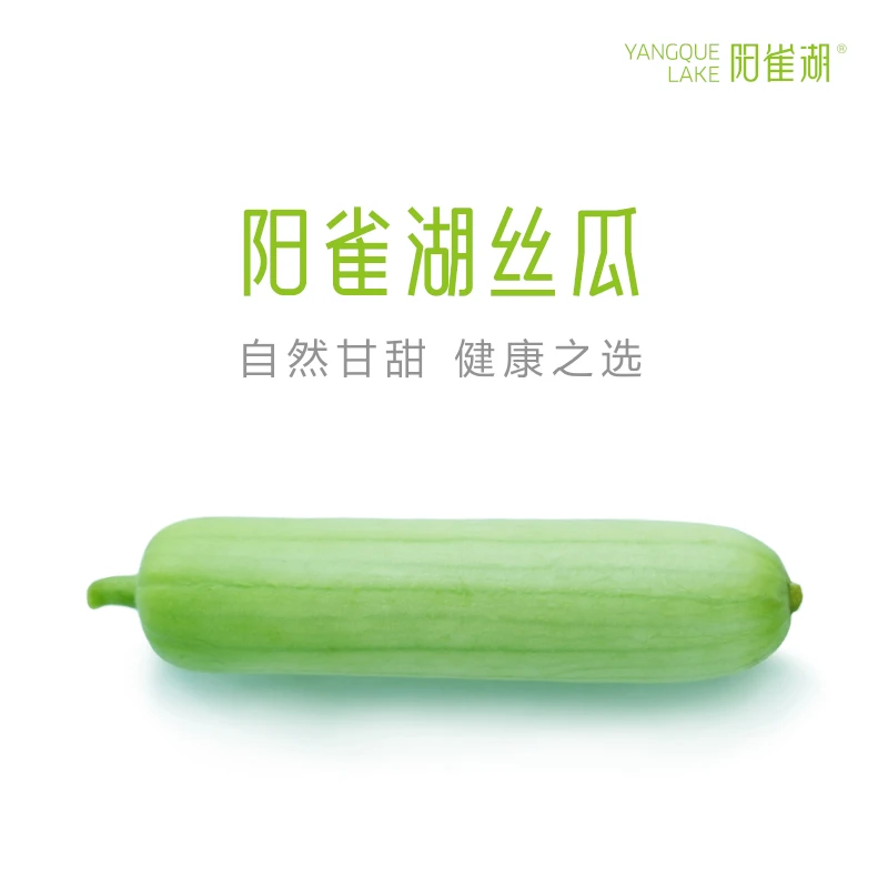 【精品】阳雀湖丝瓜正宗农家新鲜丝瓜现摘现发保鲜装 软甜
