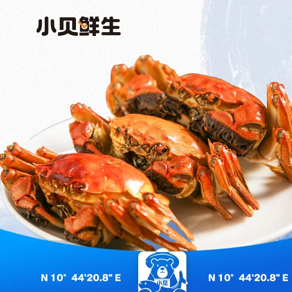 小贝鲜生3.0两公蟹3只 2.0两母蟹3只 6只装