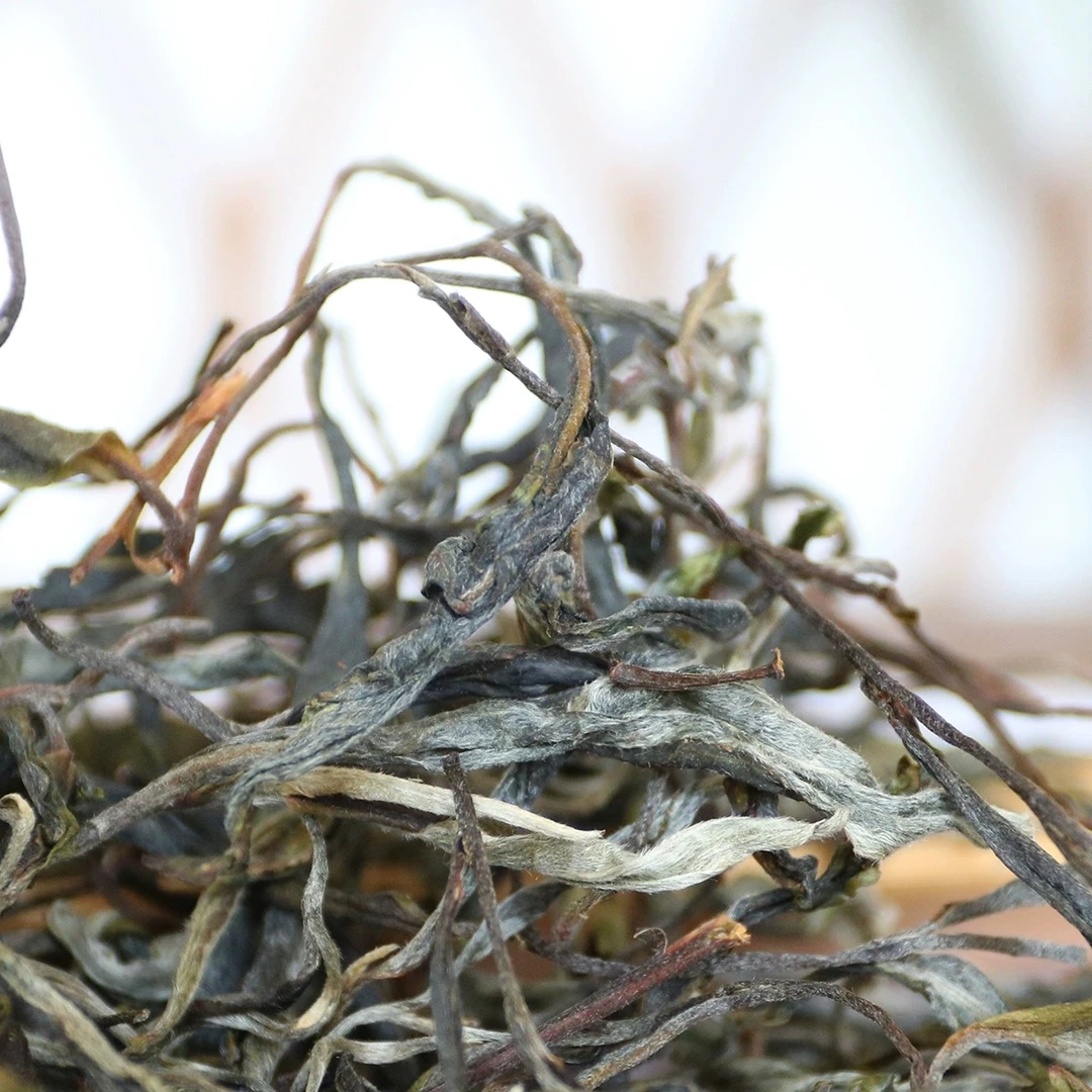 【大美茗茶】2024年易武弯弓古树头春头采普洱散茶生茶（带茶样）