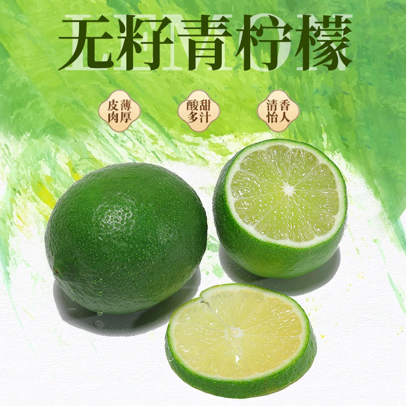 福建塔希提无籽香水青柠檬现摘新鲜柠檬1/3/5斤包邮产地直销批发