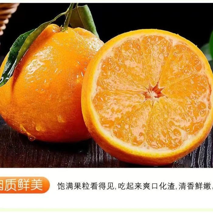[坏果包赔]正宗四川春见耙耙柑橘子8斤装新鲜水果当季整箱包邮