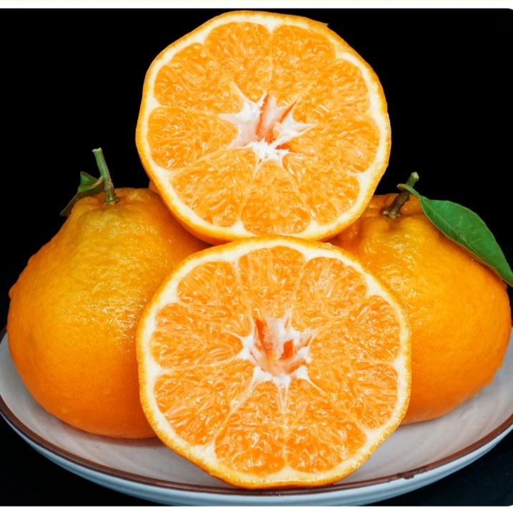 四川新鲜橘子桔子4.5-5斤当季成熟现摘