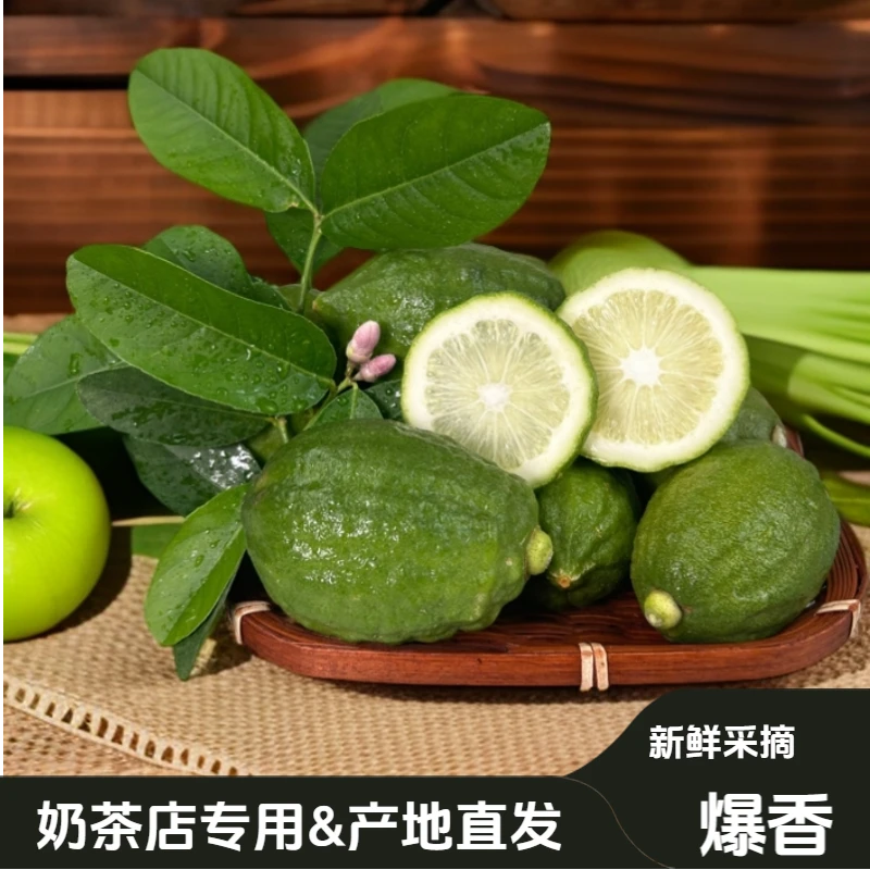 特惠香气爆香广东香水柠檬茶饮店专用产地种植现摘现发鲜果批发