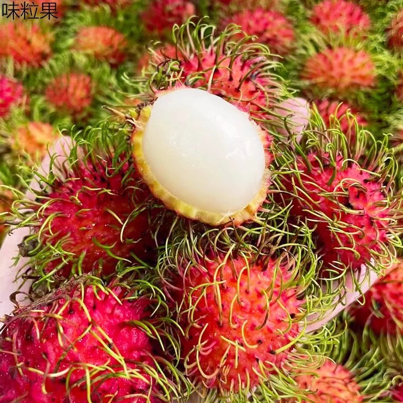 现摘泰国红毛丹毛荔枝大果越南新鲜水果非海南红毛丹孕妇水果包邮