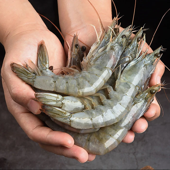 连云港 新鲜速冻海水大虾 3.5斤左右/盒