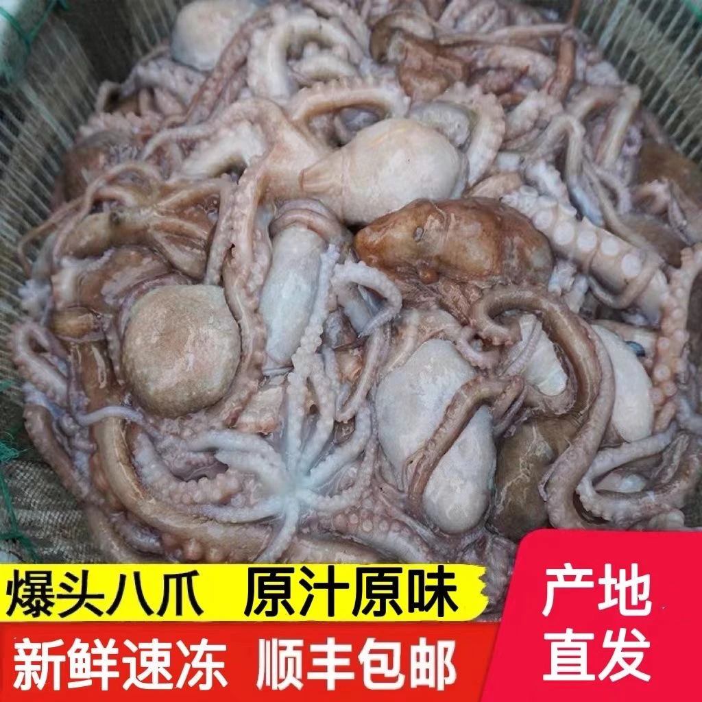 鲜活冷冻长腿八爪鱼2斤-4斤