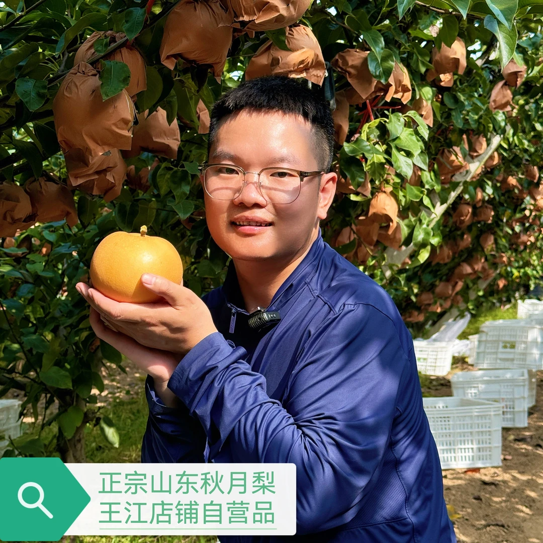不抹药正宗山东秋月梨【京东快递】