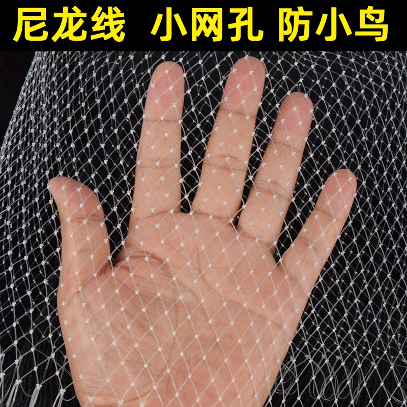 葡萄防雹网果园水果大棚防护天网防鸟用网尼龙网米网眼绳家用农业
