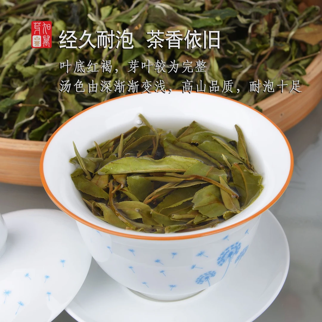 2022福鼎白茶高山白露茶传统日晒茶甜香浓郁