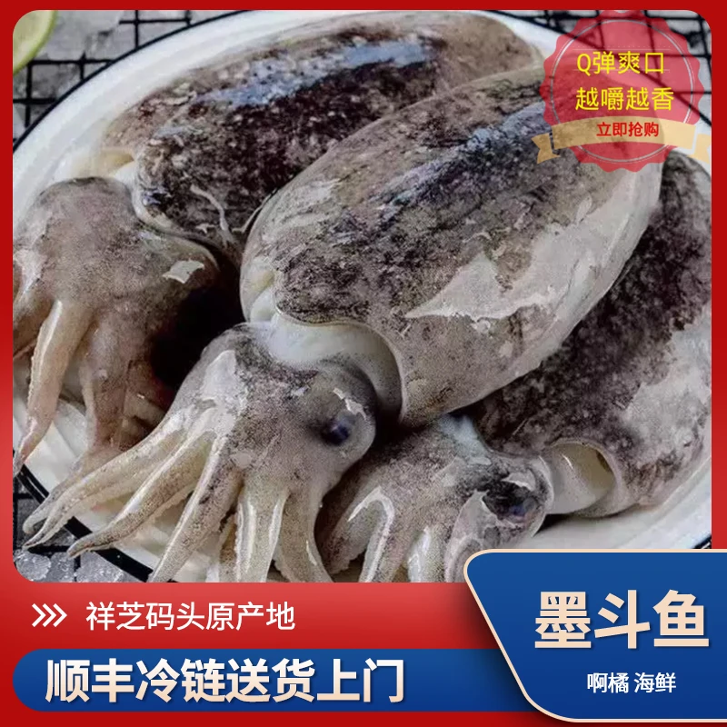 【啊橘海鲜】海捕 墨鱼 海鲜乌贼 墨斗鱼 花枝目鱼 新鲜 速冻水产