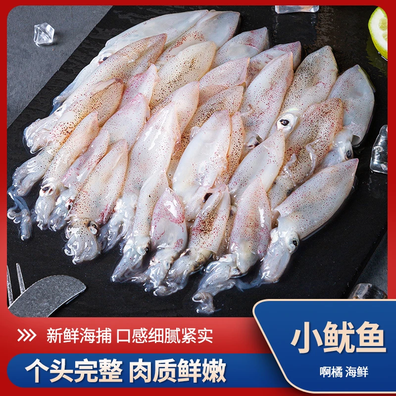 【啊橘海鲜】新鲜灯照围捕海兔鲜美生鲜鲜美冰鲜冷冻鲜活水产