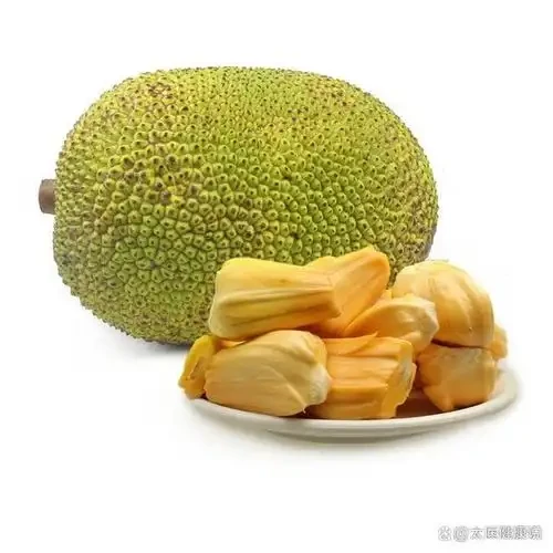 菠萝蜜黄肉300g一盒