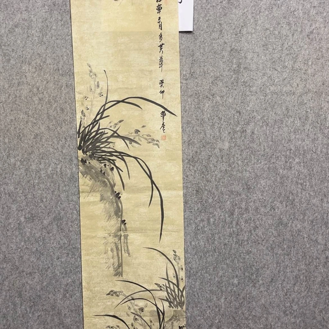 【闪购商品】绘画兰