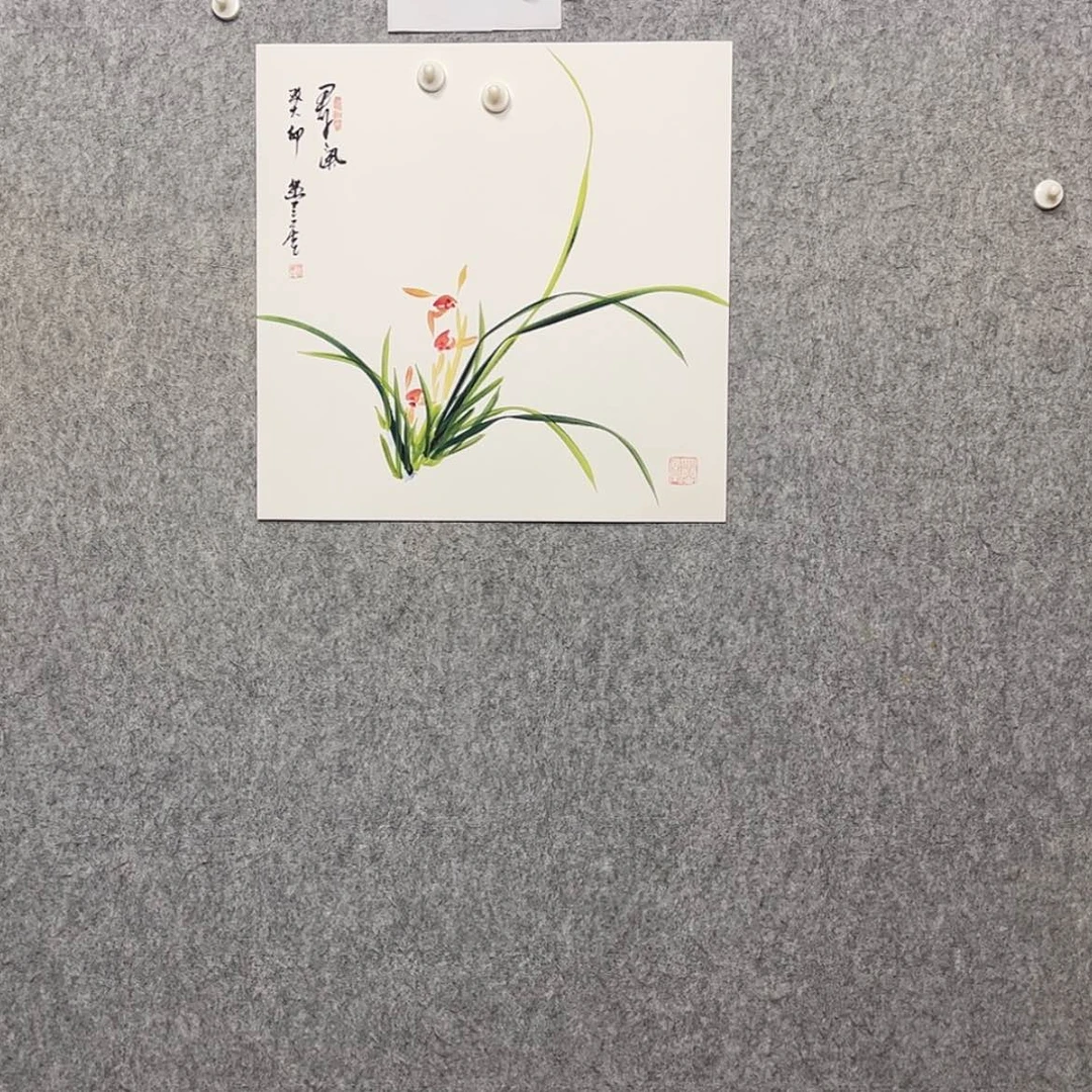 【闪购商品】绘画兰