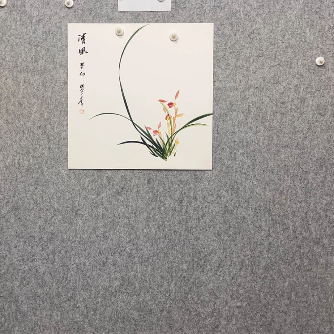 【闪购商品】绘画兰