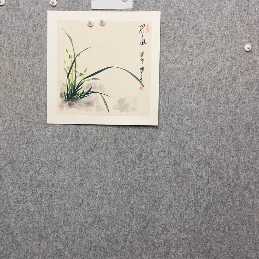 【闪购商品】绘画兰