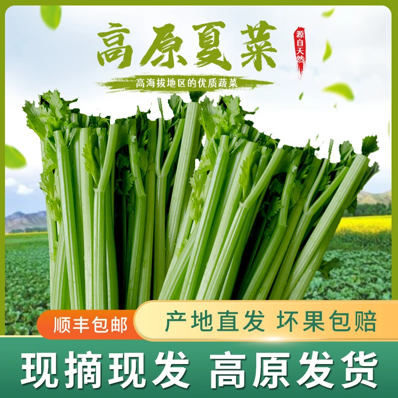 高原夏菜高原青杆清芹芽鲜嫩多汁实心芹菜新鲜
