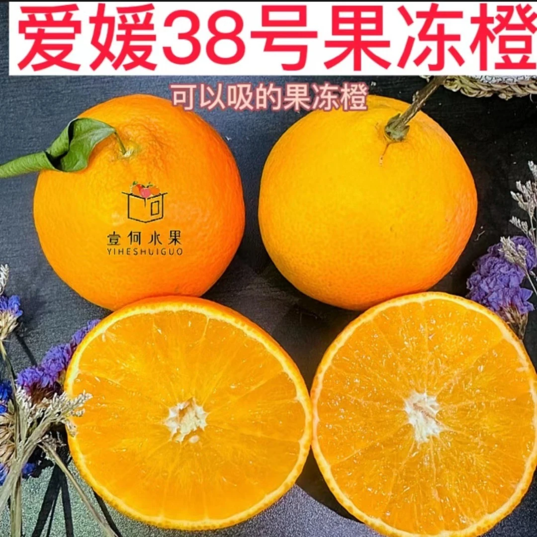 【壹何水果】四川爱媛果冻橙农家自种爱媛橙新鲜采摘产地直发现