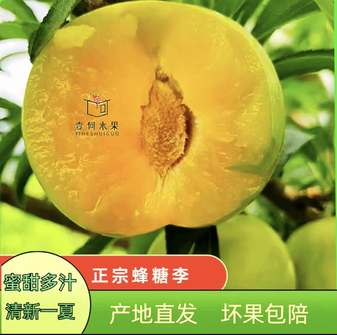 【顺丰包邮】壹何水果正宗贵州六马蜂糖李2.8斤-5斤脆甜多汁新鲜