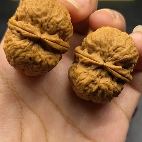 文玩核桃把件35尺云南核桃