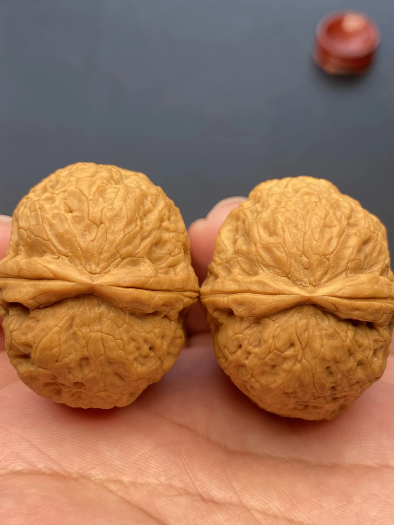 云南 铁核桃 野生 文玩 把件  粗筋铁锤