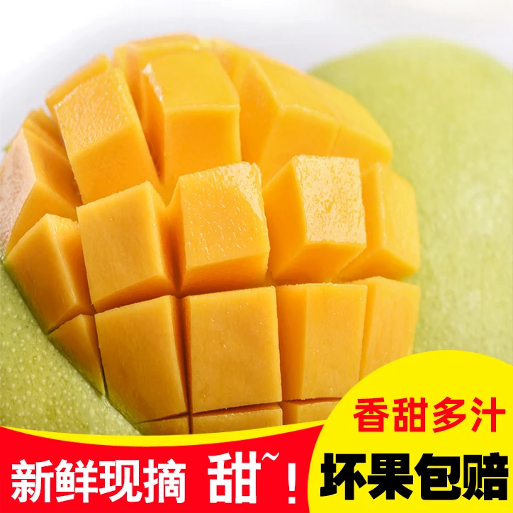 【新鲜发货】海南金煌芒老树成熟当季大芒果5/8/9斤快递发出售后少