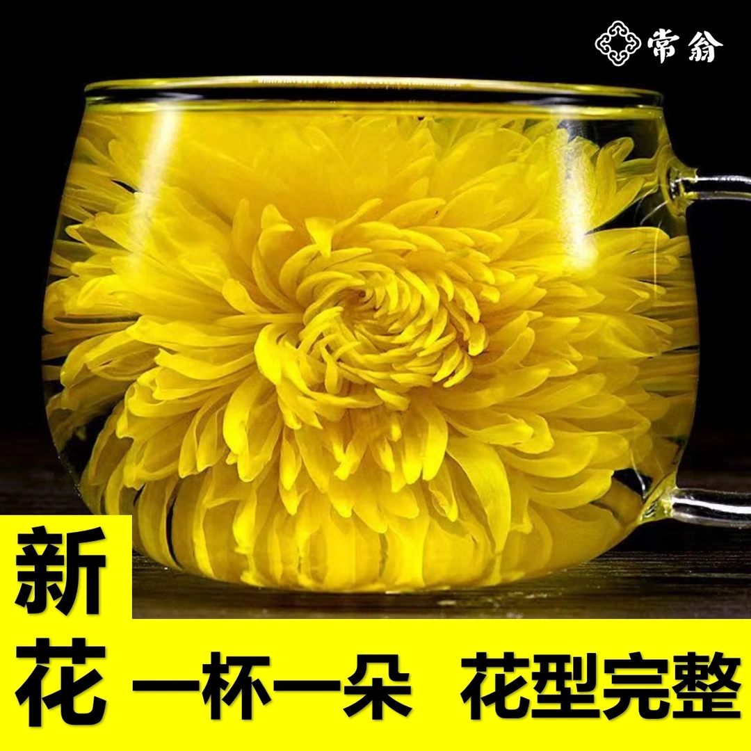 【冠军助力】常翁金丝皇菊安徽黄山一朵一杯黄菊花大朵搭配