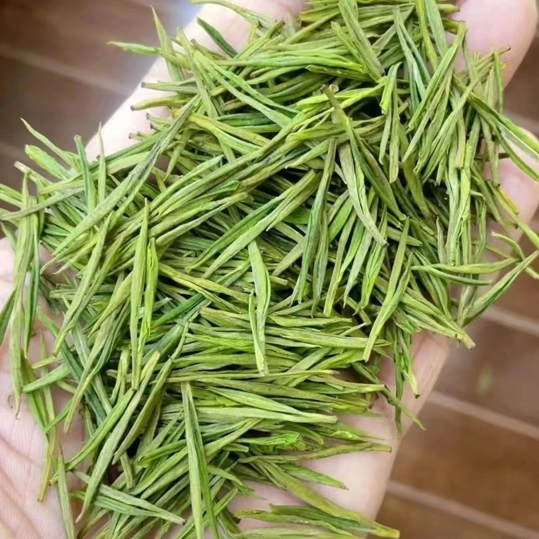 2025年明前高山白茶（老妈家）