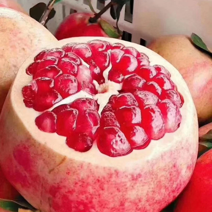 精品1级果，突尼斯刘沟软籽石榴6个装《1斤一个》