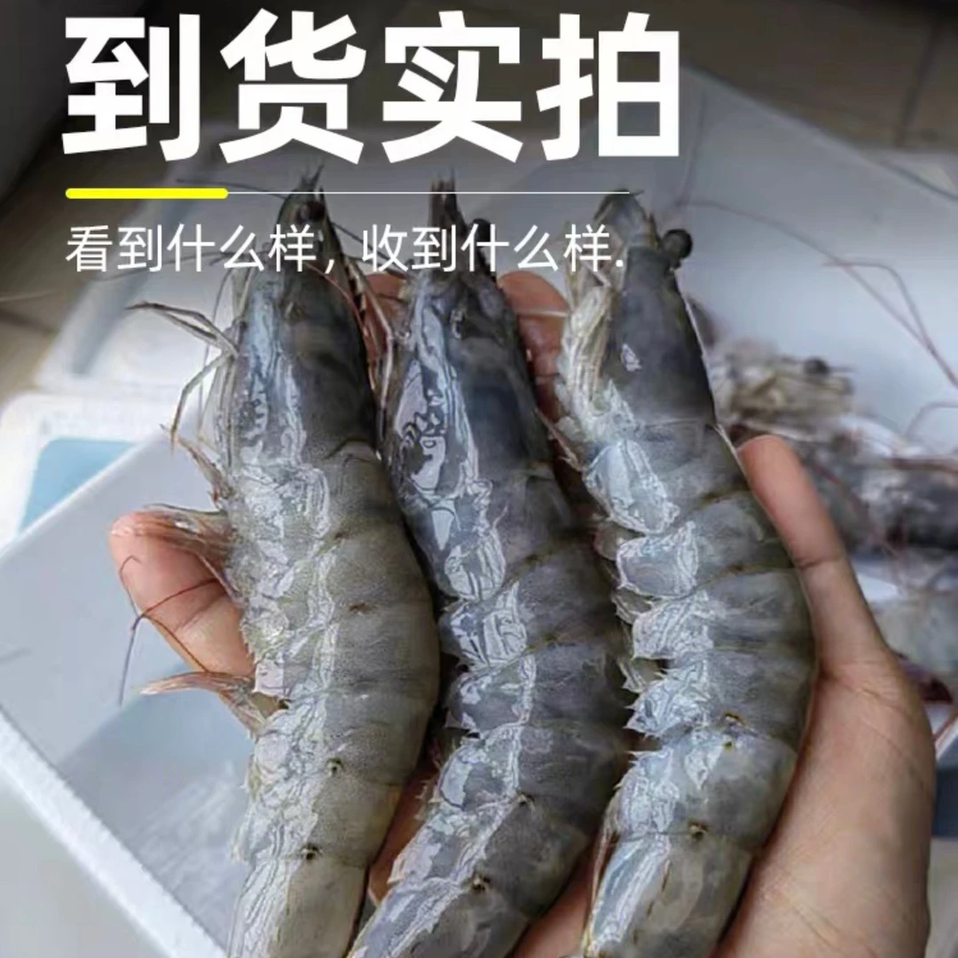 新鲜大虾超大海虾特大对虾鲜活冷冻基围虾明虾净重3斤原盒原装