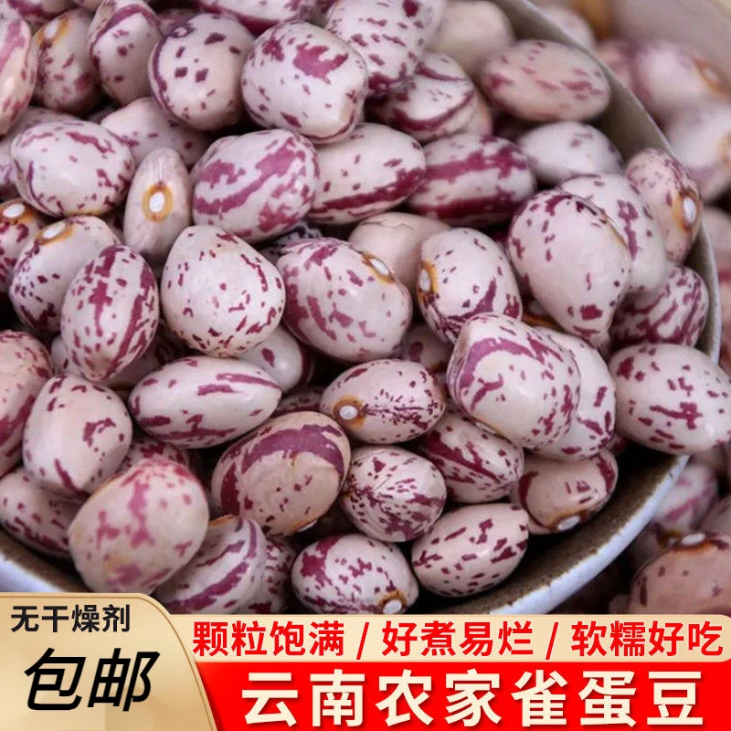 【新豆】雀斑豆雀蛋豆新货贵州农家四季豆煮粥新鲜奶花芸豆花生豆