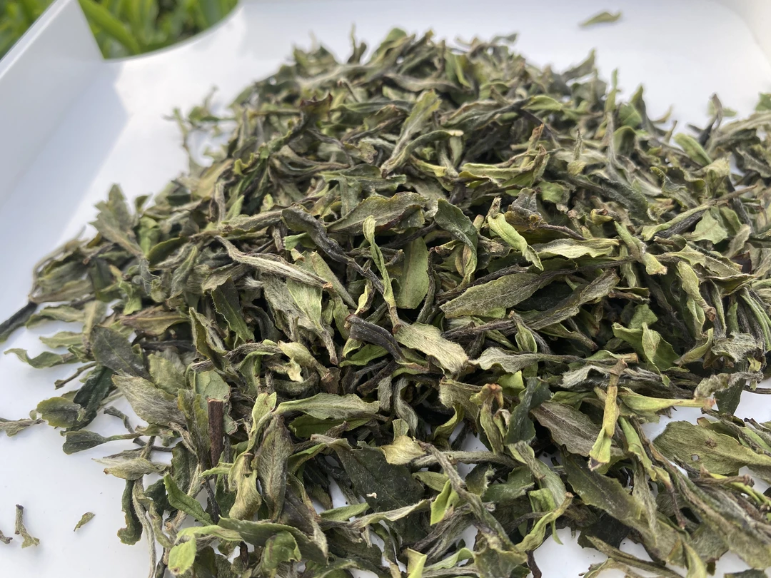 沉鱼茶叶落叶政和白茶2025年鱼叶250g