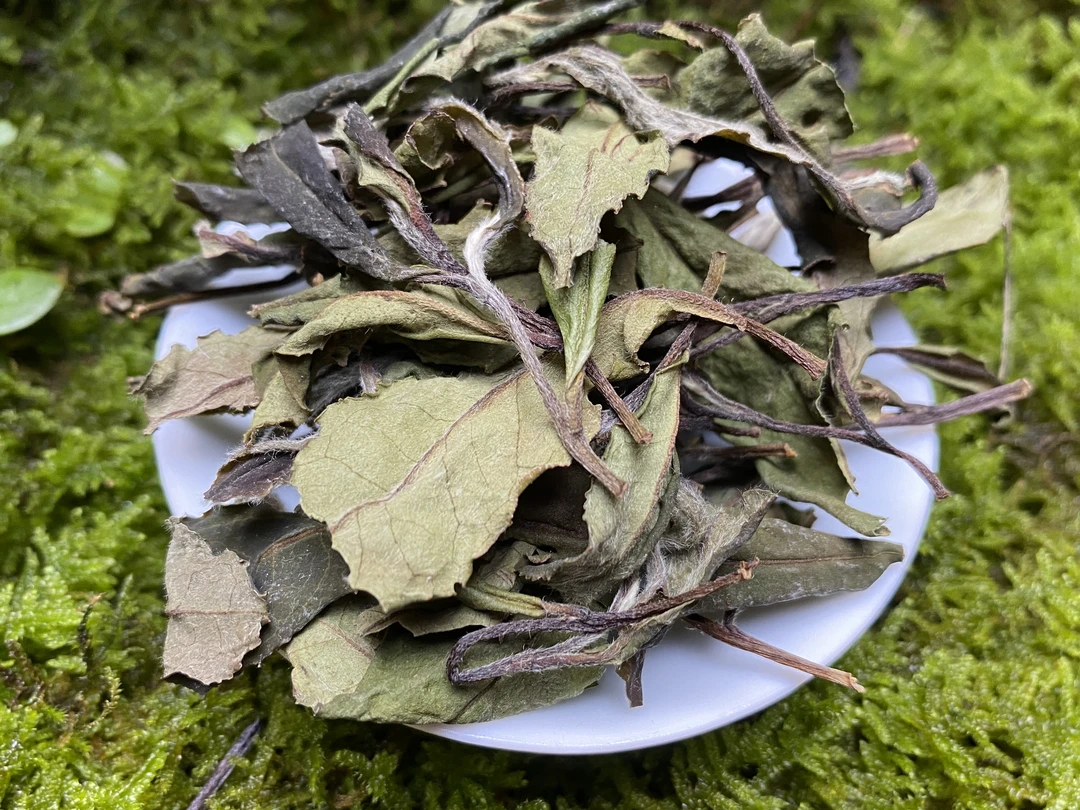 野趣十足 2022年荒野古树白茶 250g