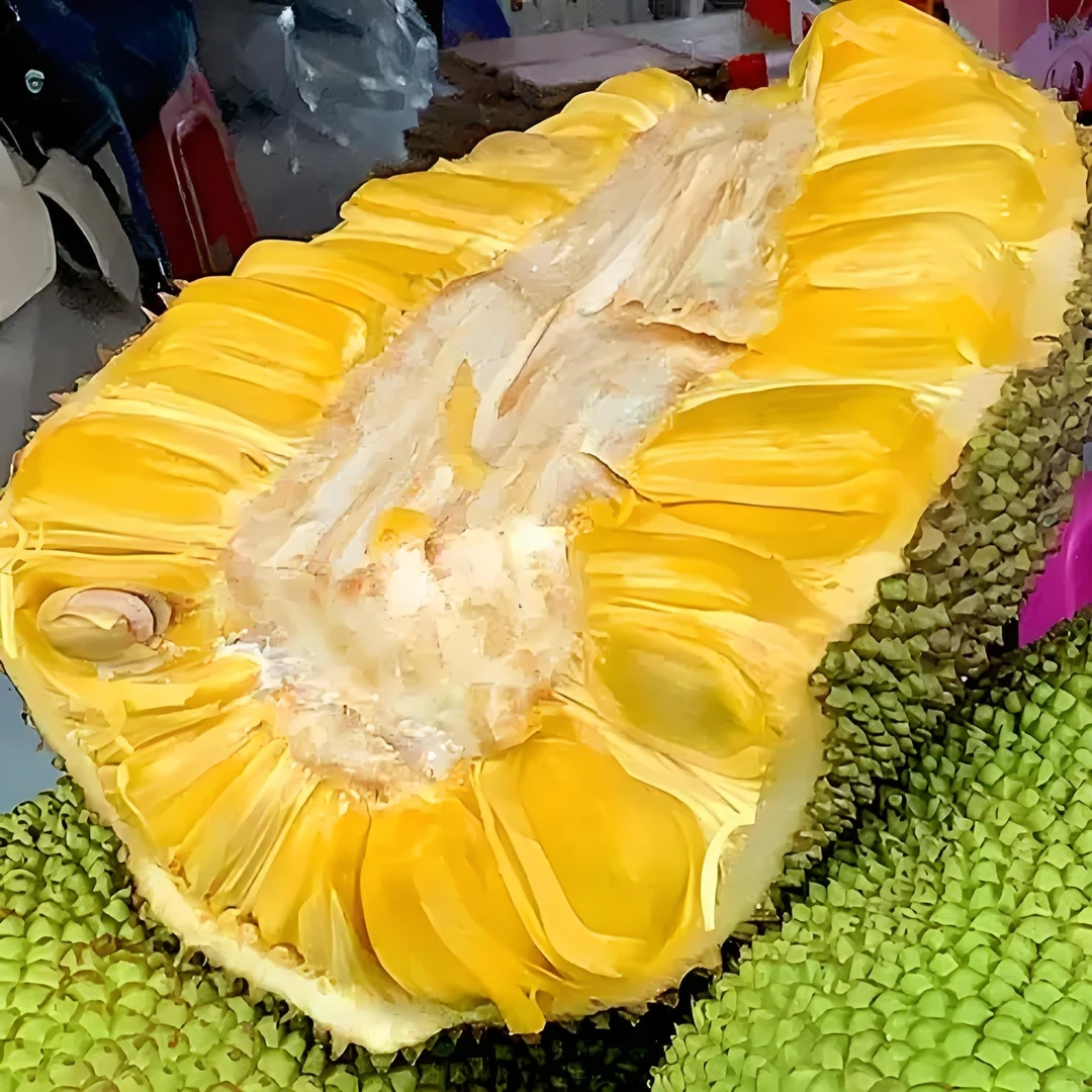 果切菠萝蜜半个7-8斤