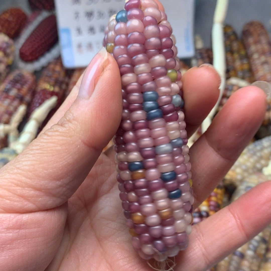【闪购商品】言**?直播间商品不退不换