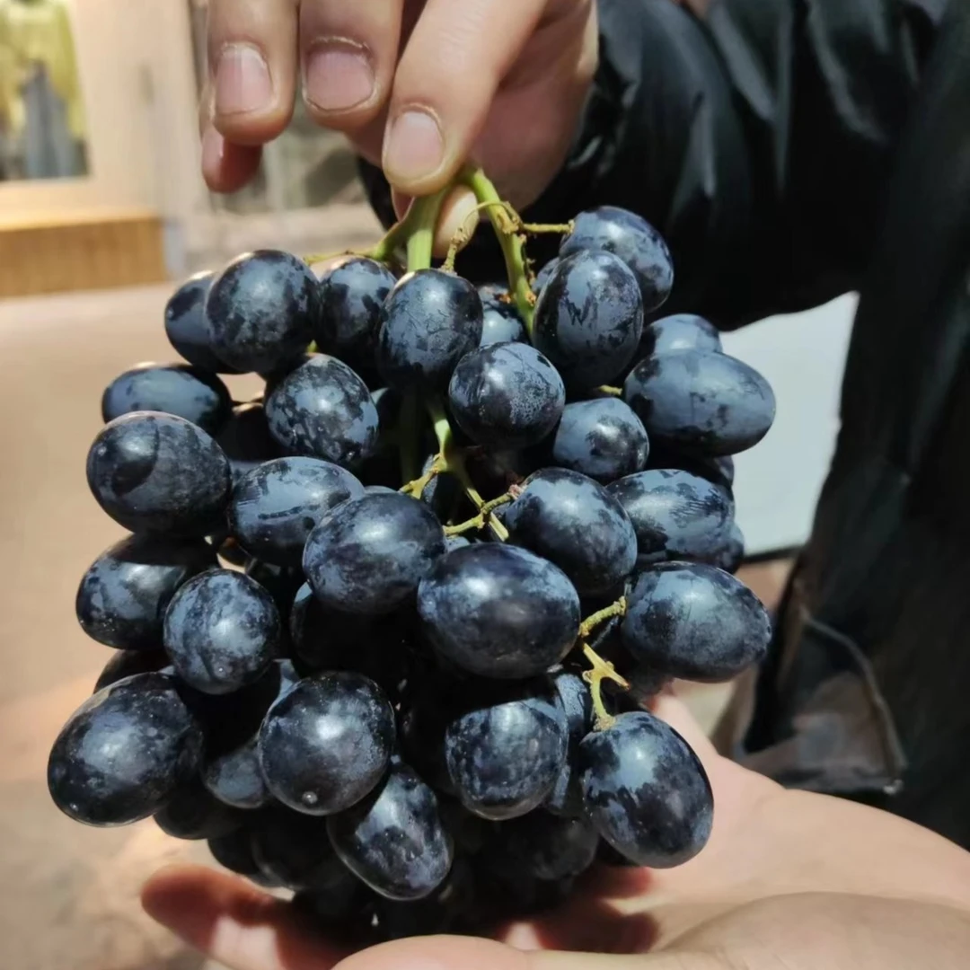 【散装2斤】玫瑰香葡萄2斤装